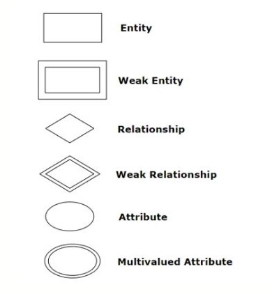 Attributes representing information about the Room and Area entities.