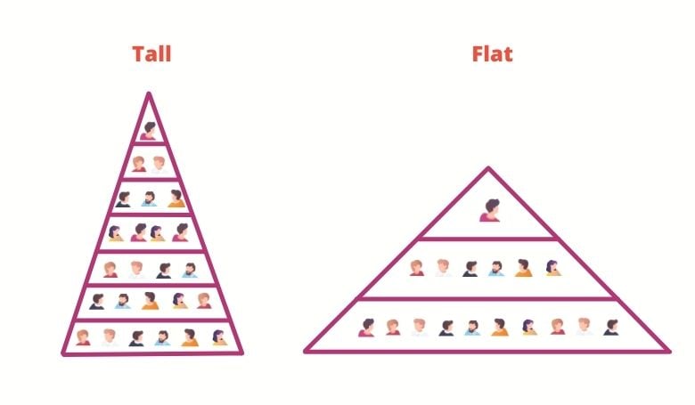Tall and Flat Hierarchy Structures
