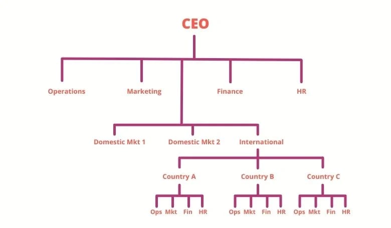 organizational structure international business case study
