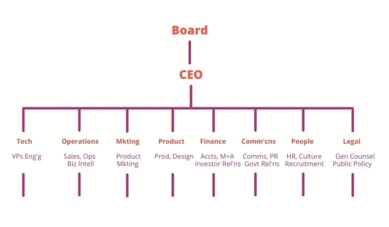 Larger Tech Company Organization Structure