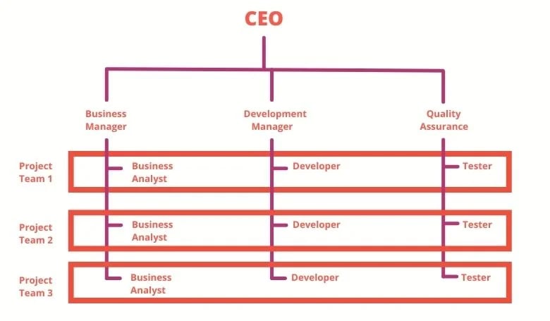 Matrix Organization Structure