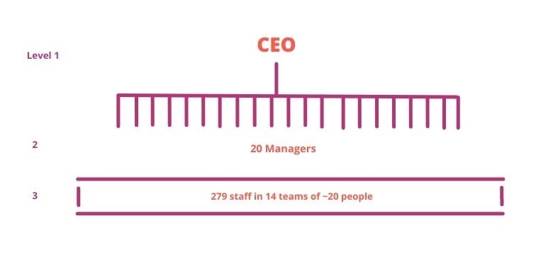 Span of Control 20 Flat Organization