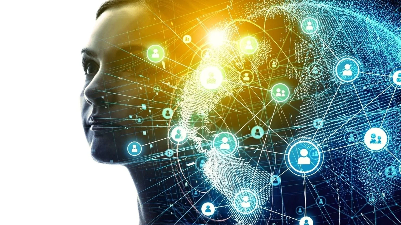 How to Structure an International Organization